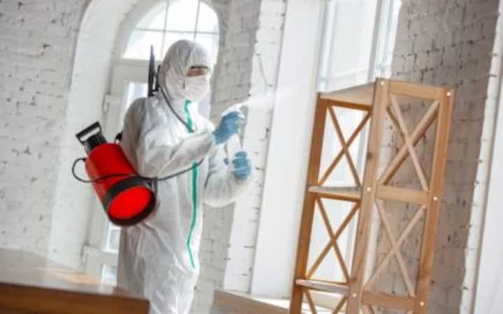 Top Water Damage Restoration Companies Near Me in Seattle WA